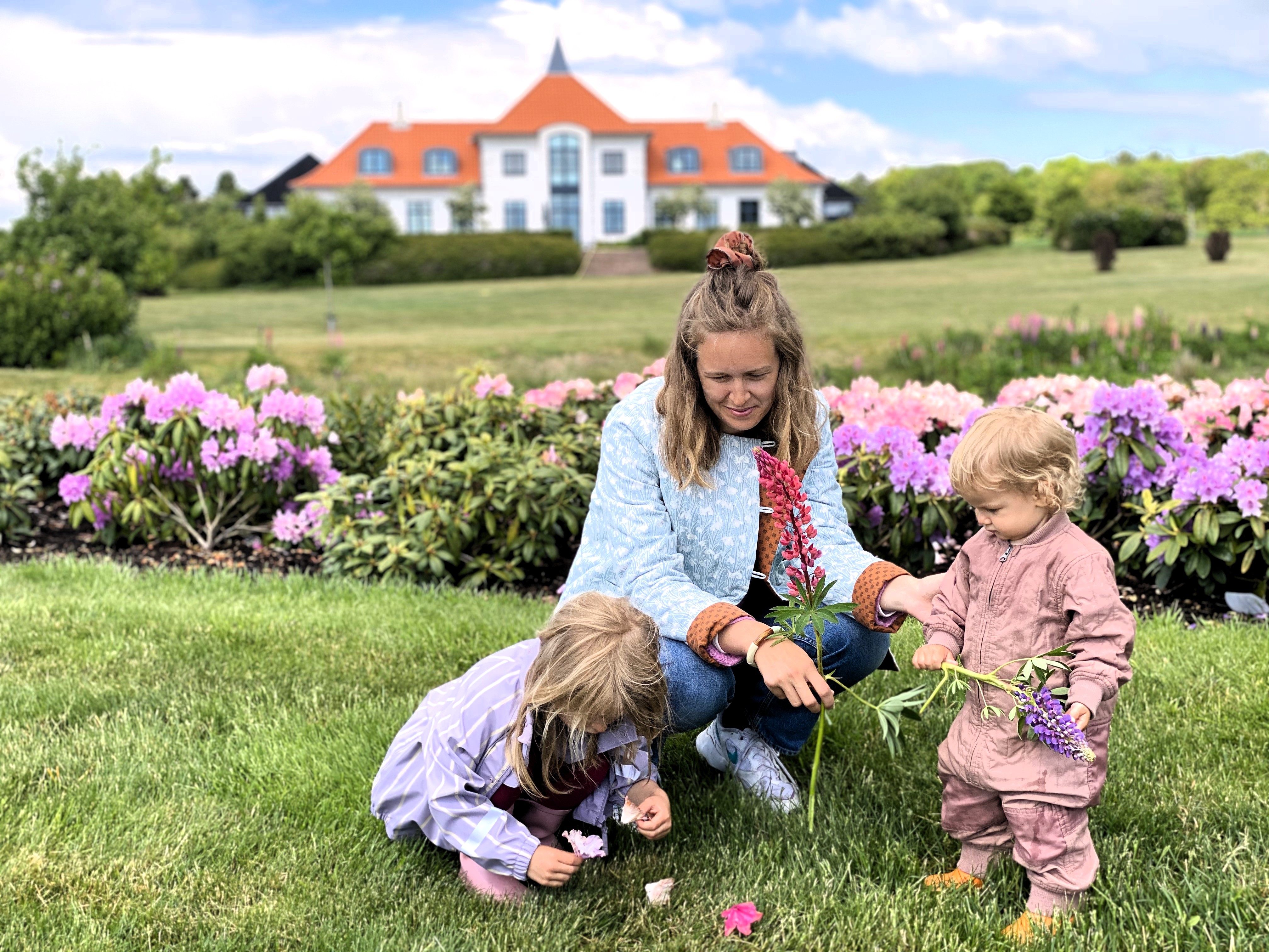 Rhododendronparken og Nygårdsminde Vingård – unikke oplevelser i Brønderslev